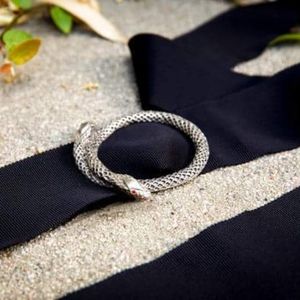 Serpentine belt buckle s